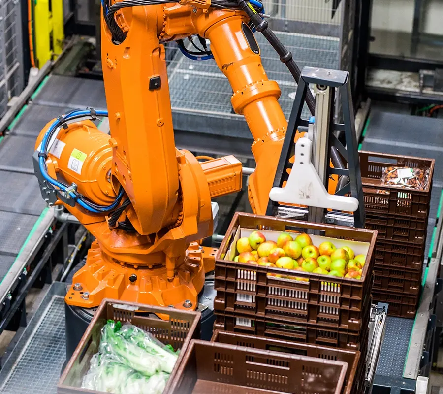 robotic picking for grocery food beverage distribution automation