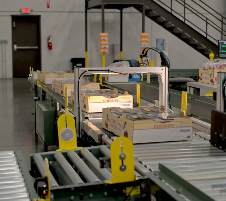 Automated conveyor system for food processing facility